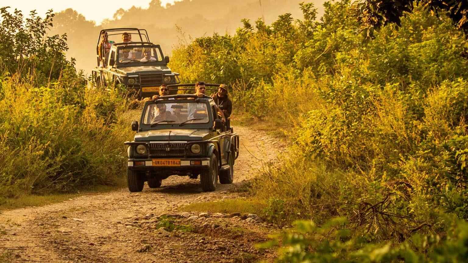 Jim Corbett Tour Package from Delhi